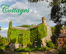 foremark cottages